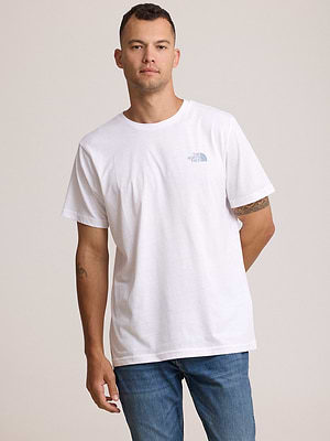 THE NORTH FACE logo t shirt חולצה בצבע לבן עם לוגו אפור כחול צידי T-58